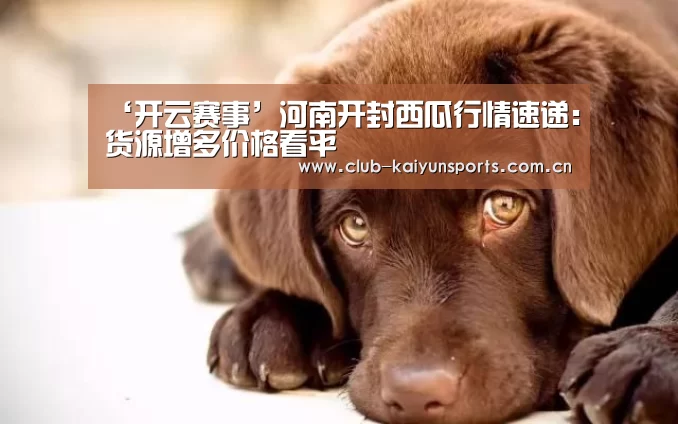 ‘开云赛事’河南开封西瓜行情速递:货源增多价格看平(图2) 开云体育直播