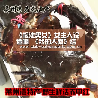 《检法男女》女主人设遭嘲 《我的大叔》结局温暖细腻:开云体育直播(图3) KAIYUN官网