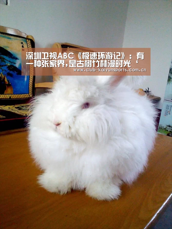 深圳卫视ABC《极速环游记》:有一种张家界,是古树竹林漫时光‘开云官网导航’(图1) 开云赛事