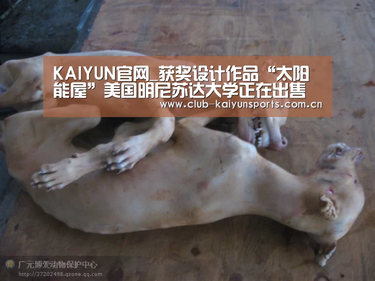 开云官网导航