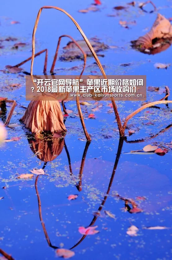 “开云官网导航”苹果近期价格如何?2018最新苹果主产区市场收购价行情(图1) 开云官网导航