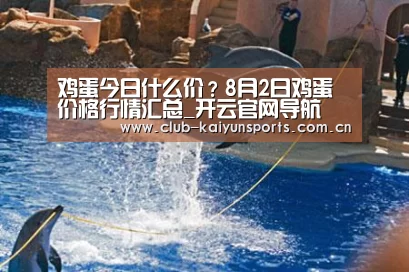 鸡蛋今日什么价?8月2日鸡蛋价格行情汇总_开云官网导航(图1) 开云赛事